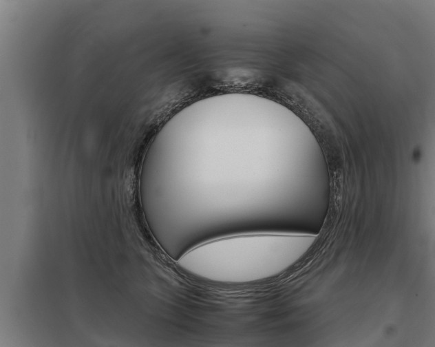X0000098040563200803280757