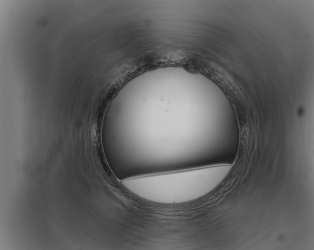 X0000098040564200803280757