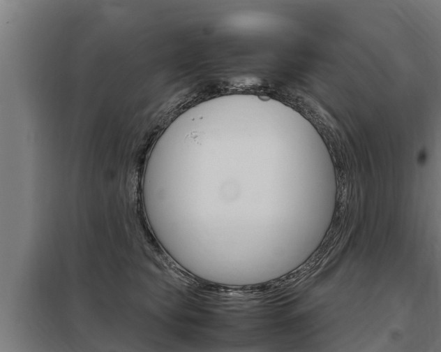 X0000098040565200803280757