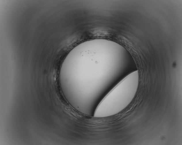 X0000098040567200803280757