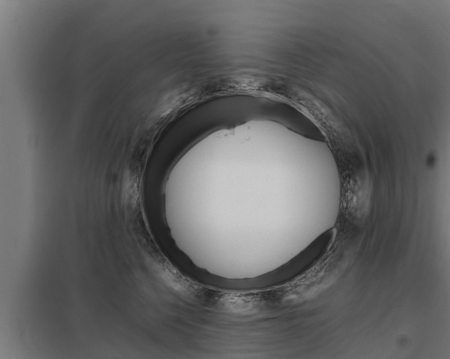 X0000098040568200803280757