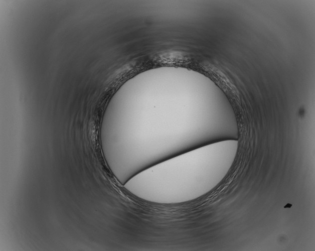 X0000098040569200803280757