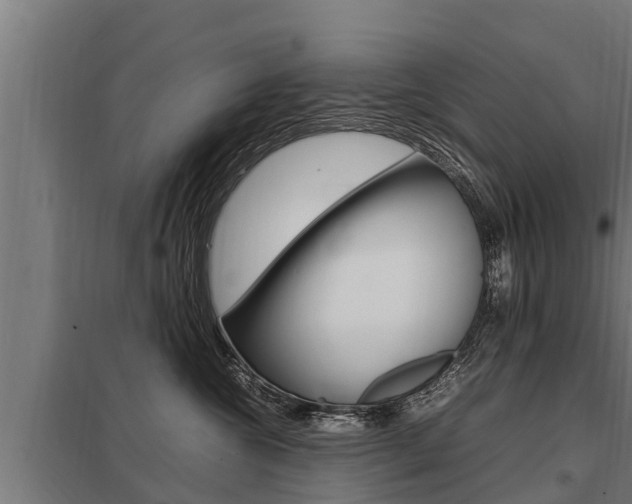 X0000098040572200803280757
