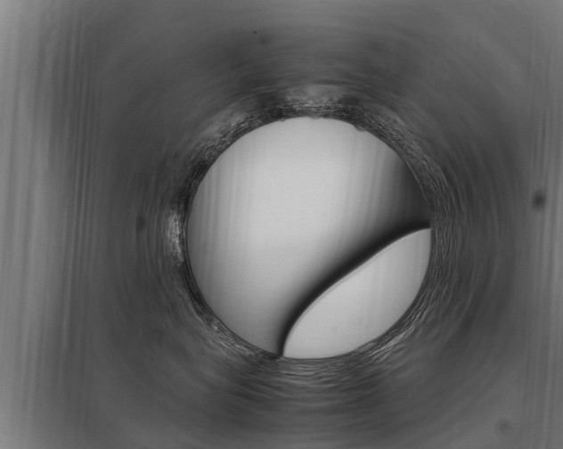 X0000098040575200803280757
