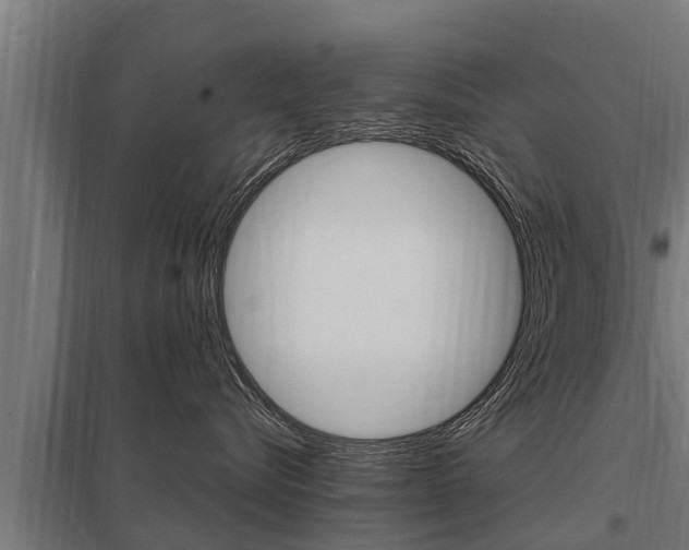 X0000098040576200803280757