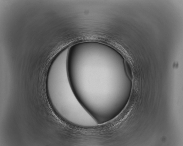 X0000098040577200803280756