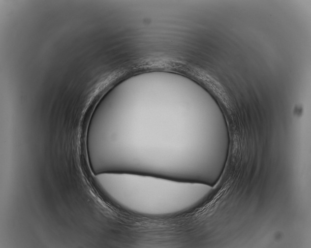 X0000098040578200803280756