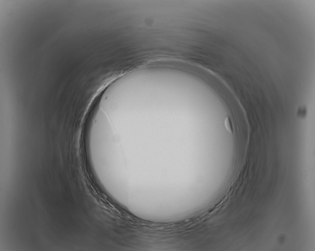 X0000098040579200803280756