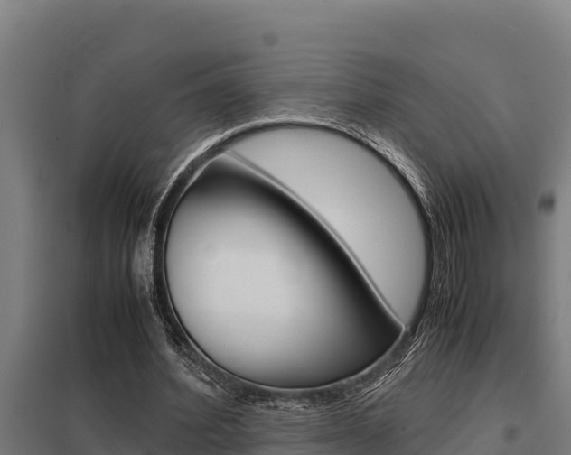 X0000098040580200803280756