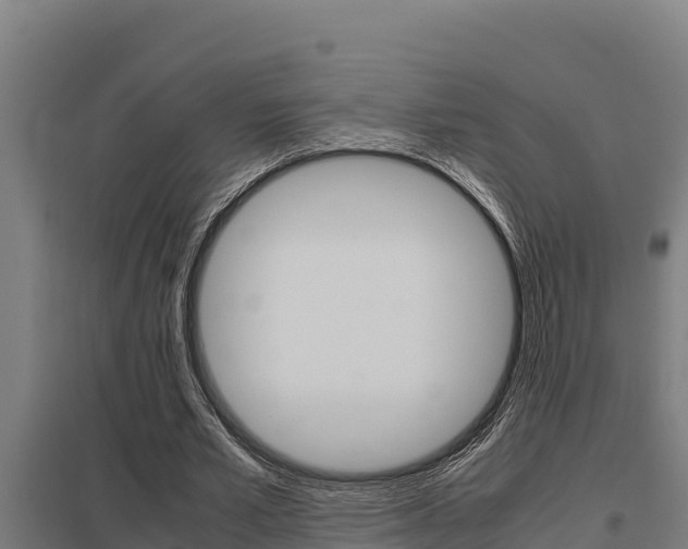 X0000098040581200803280756