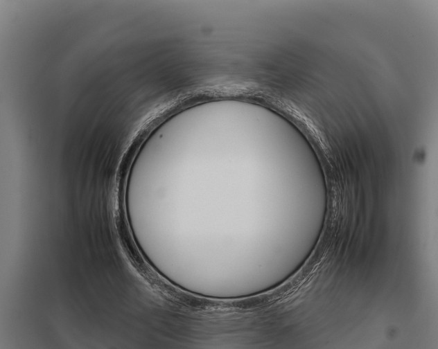 X0000098040582200803280756