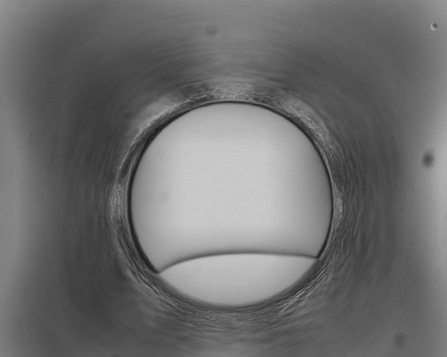 X0000098040583200803280756