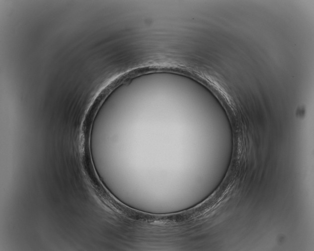 X0000098040584200803280756
