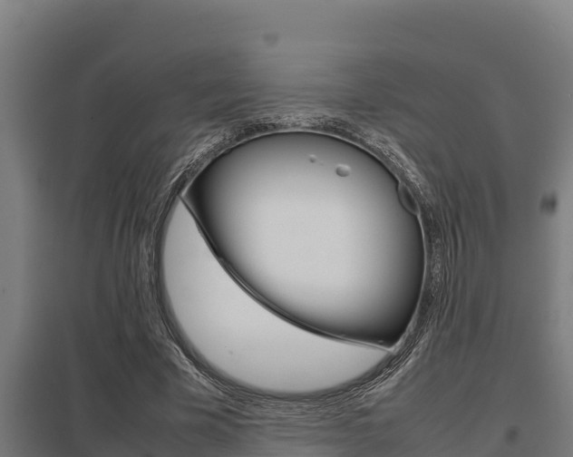 X0000098040585200803280756