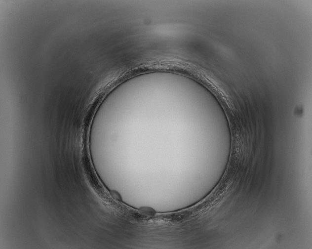 X0000098040586200803280756