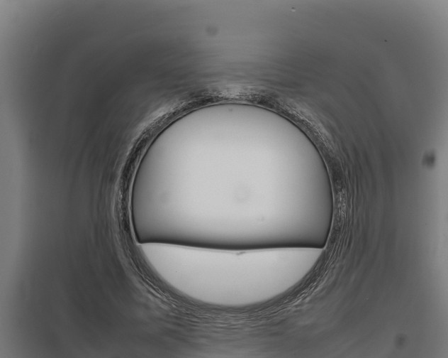 X0000098040587200803280756