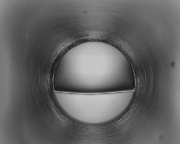X0000098040588200803280756