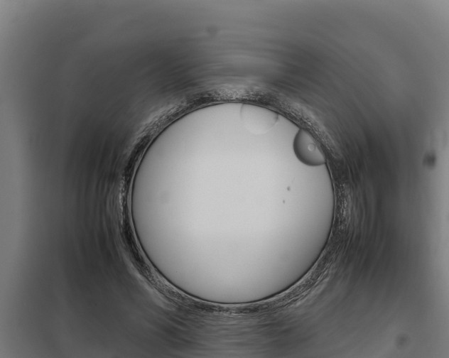 X0000098040590200803280756