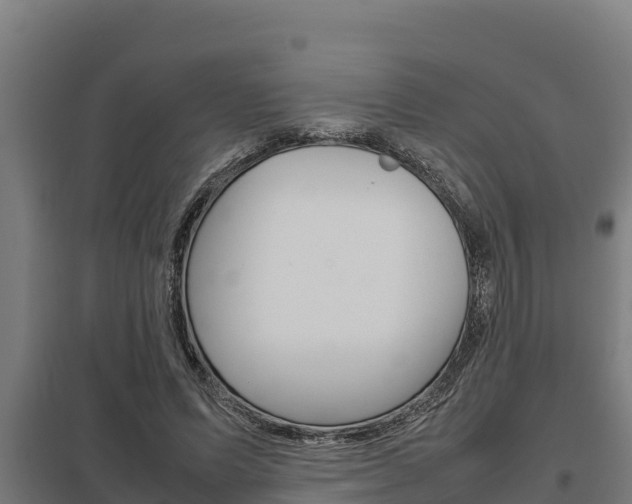 X0000098040591200803280756
