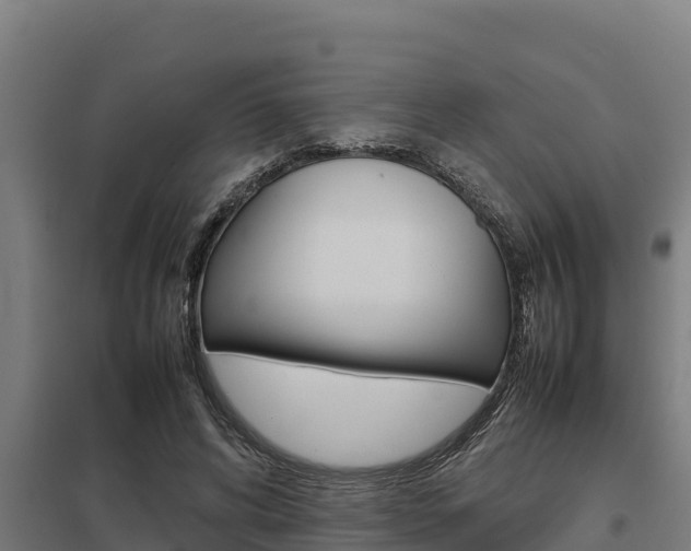 X0000098040592200803280756
