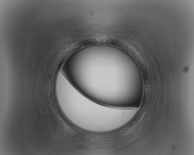 X0000098040593200803280756
