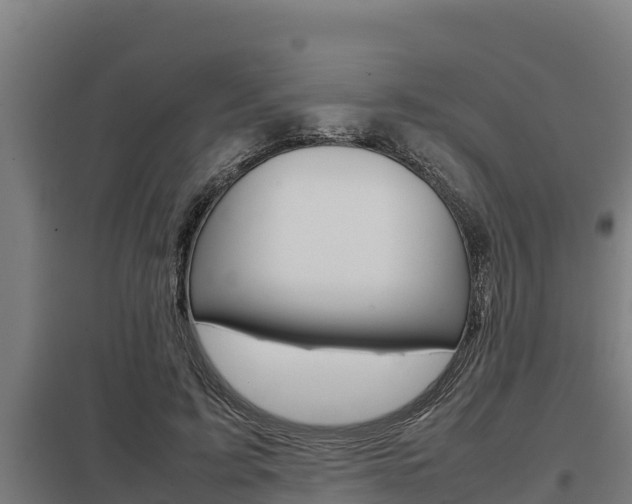 X0000098040595200803280756