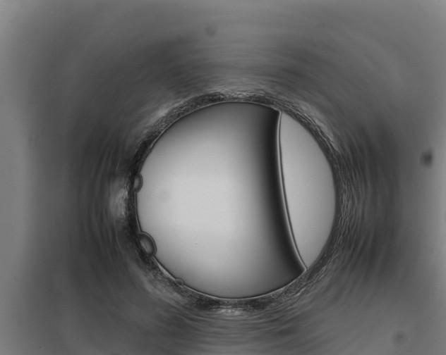 X0000098040596200803280756
