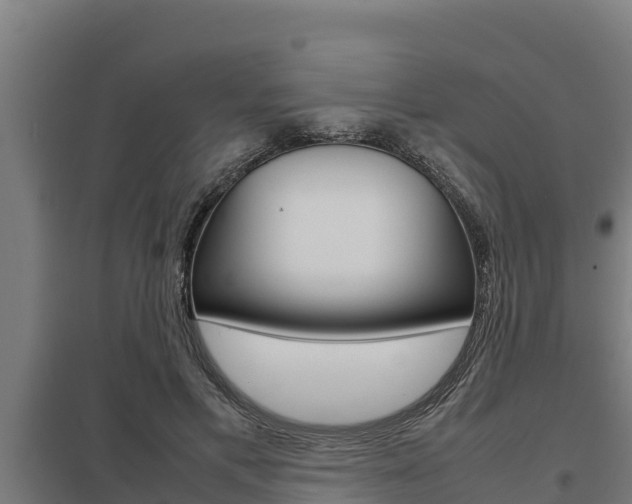 X0000098040597200803280756
