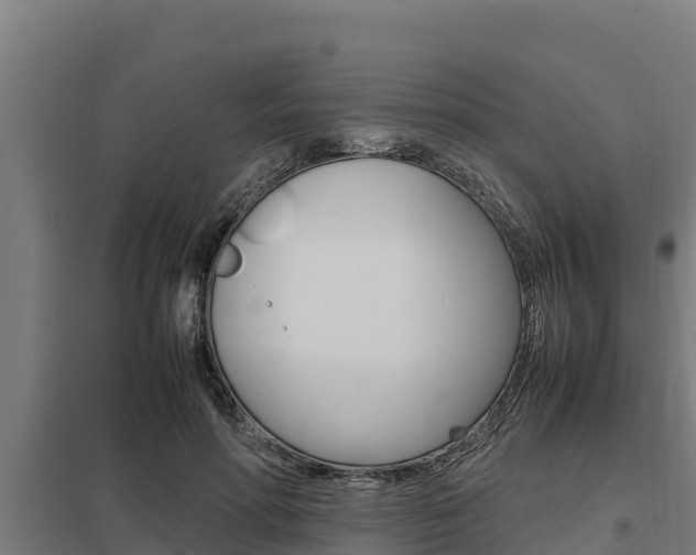 X0000098040598200803280756