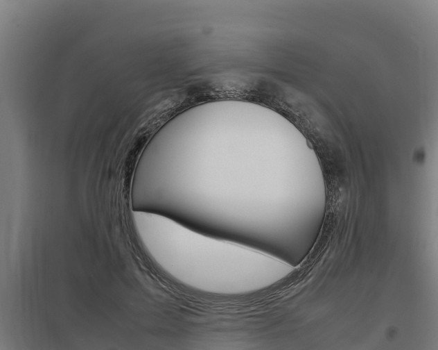 X0000098040599200803280756