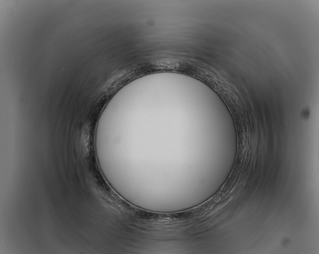 X0000098040600200803280756