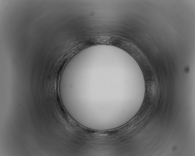 X0000098040602200803280756