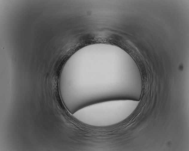 X0000098040603200803280756