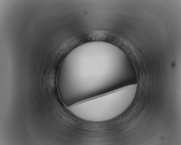 X0000098040604200803280756