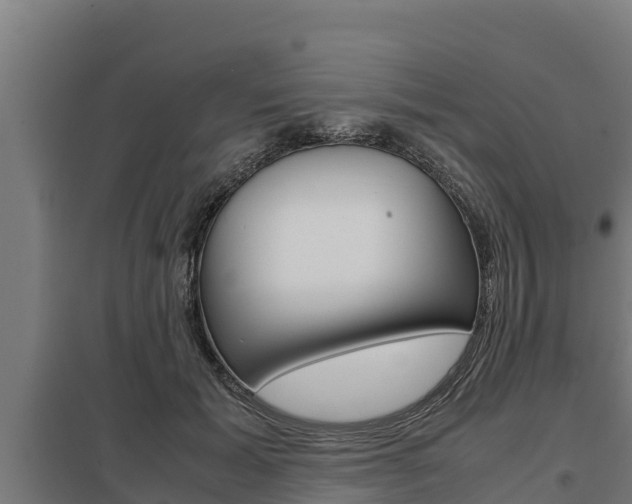 X0000098040605200803280756