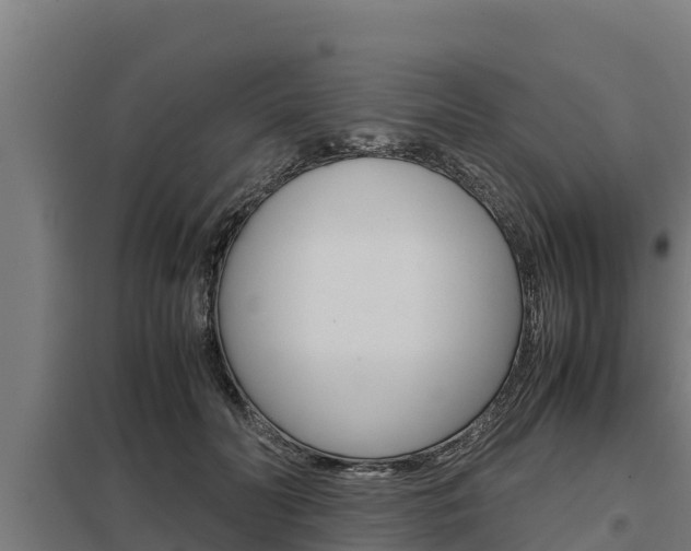 X0000098040606200803280756