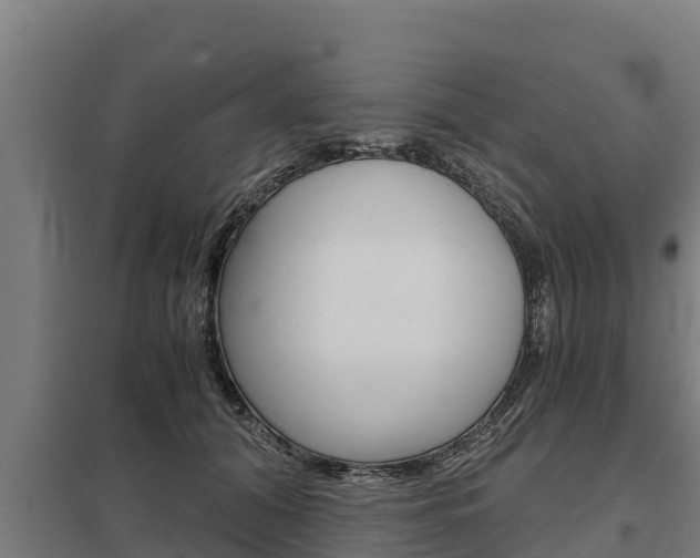 X0000098040608200803280756
