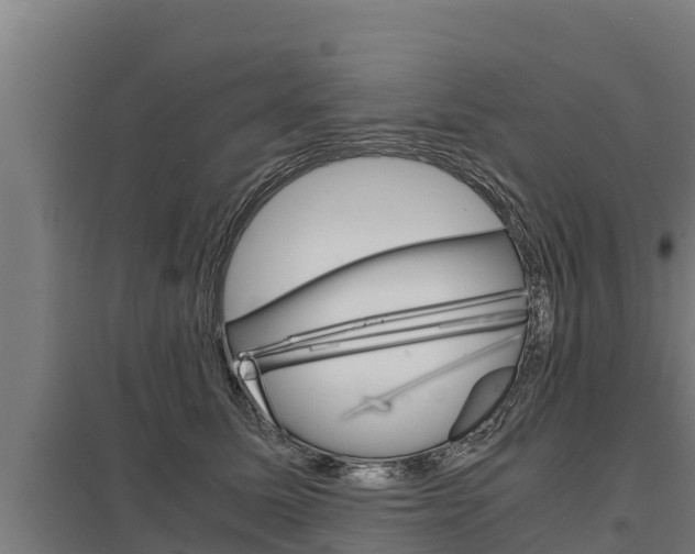 X0000098040611200803280756