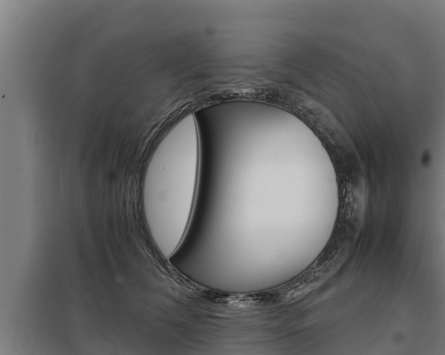 X0000098040612200803280755