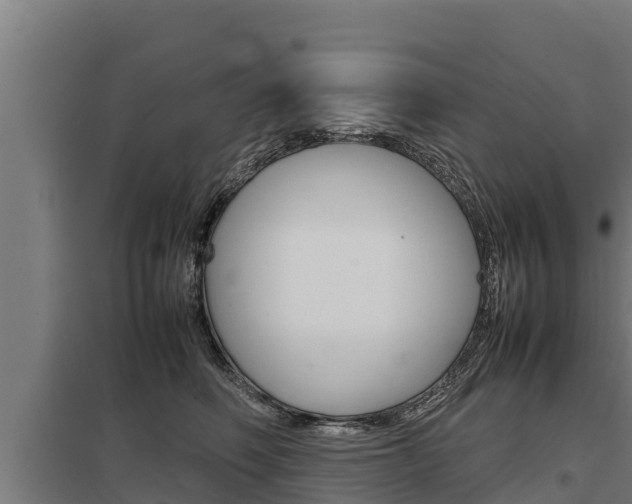 X0000098040614200803280755