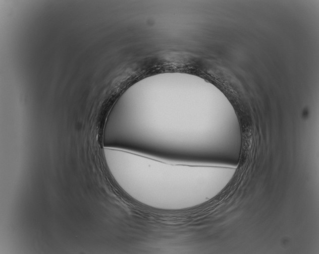 X0000098040615200803280755