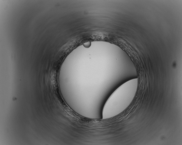 X0000098040616200803280755