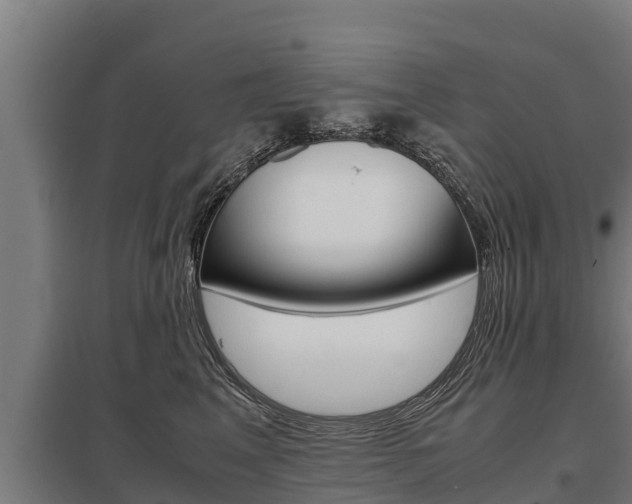 X0000098040617200803280755