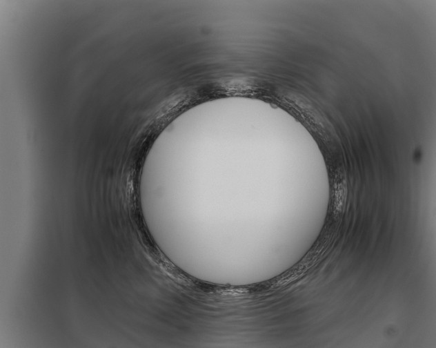 X0000098040618200803280755