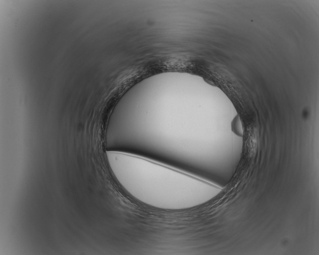 X0000098040619200803280755