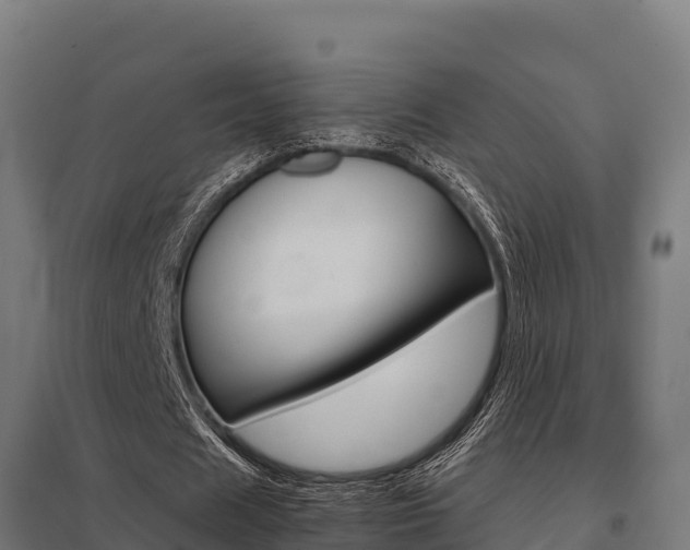 X0000098040625200803280755