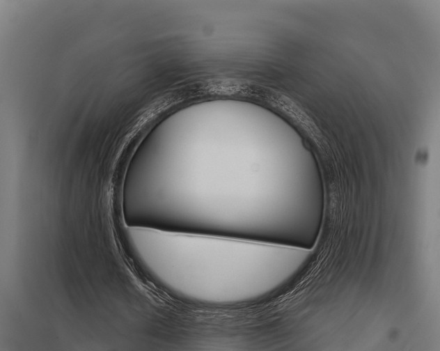 X0000098040626200803280755
