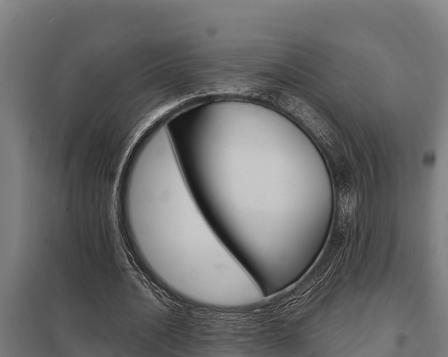 X0000098040628200803280755