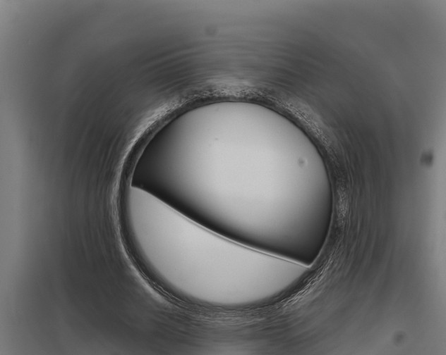 X0000098040630200803280755