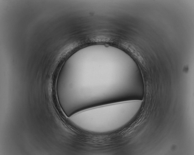 X0000098040631200803280755